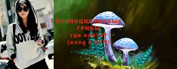 ешки Горнозаводск