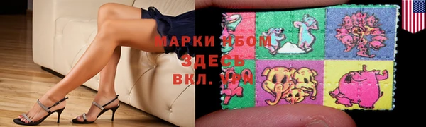 PSILOCYBIN Горно-Алтайск