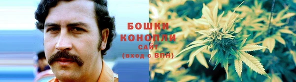 ешки Горнозаводск