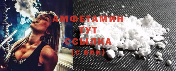 PSILOCYBIN Горно-Алтайск