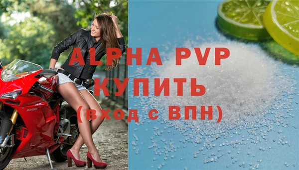 PSILOCYBIN Горно-Алтайск