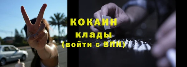 PSILOCYBIN Горно-Алтайск