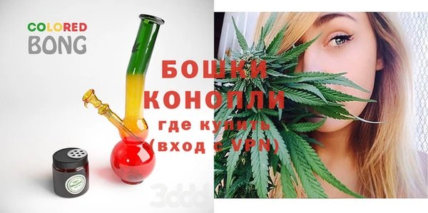 PSILOCYBIN Горно-Алтайск