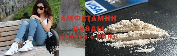 PSILOCYBIN Горно-Алтайск