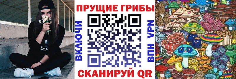 Псилоцибиновые грибы MAGIC MUSHROOMS  Томари 